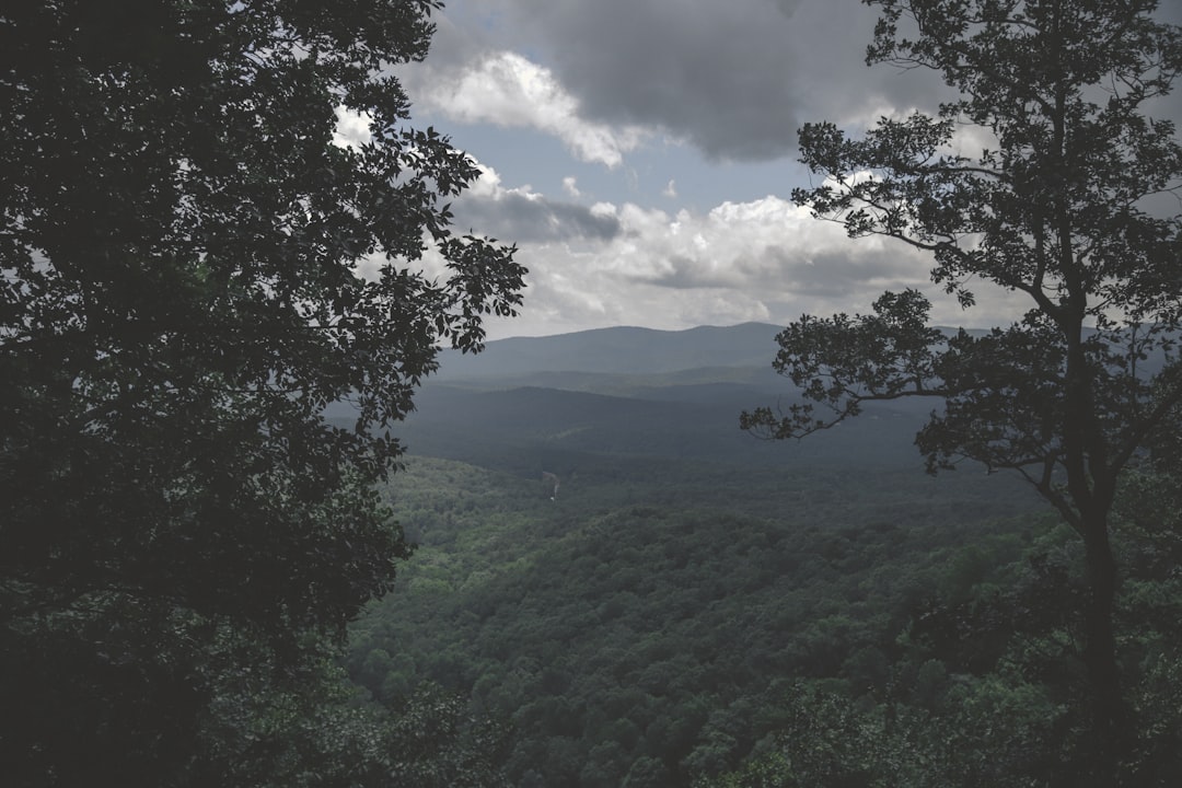 Georgia.