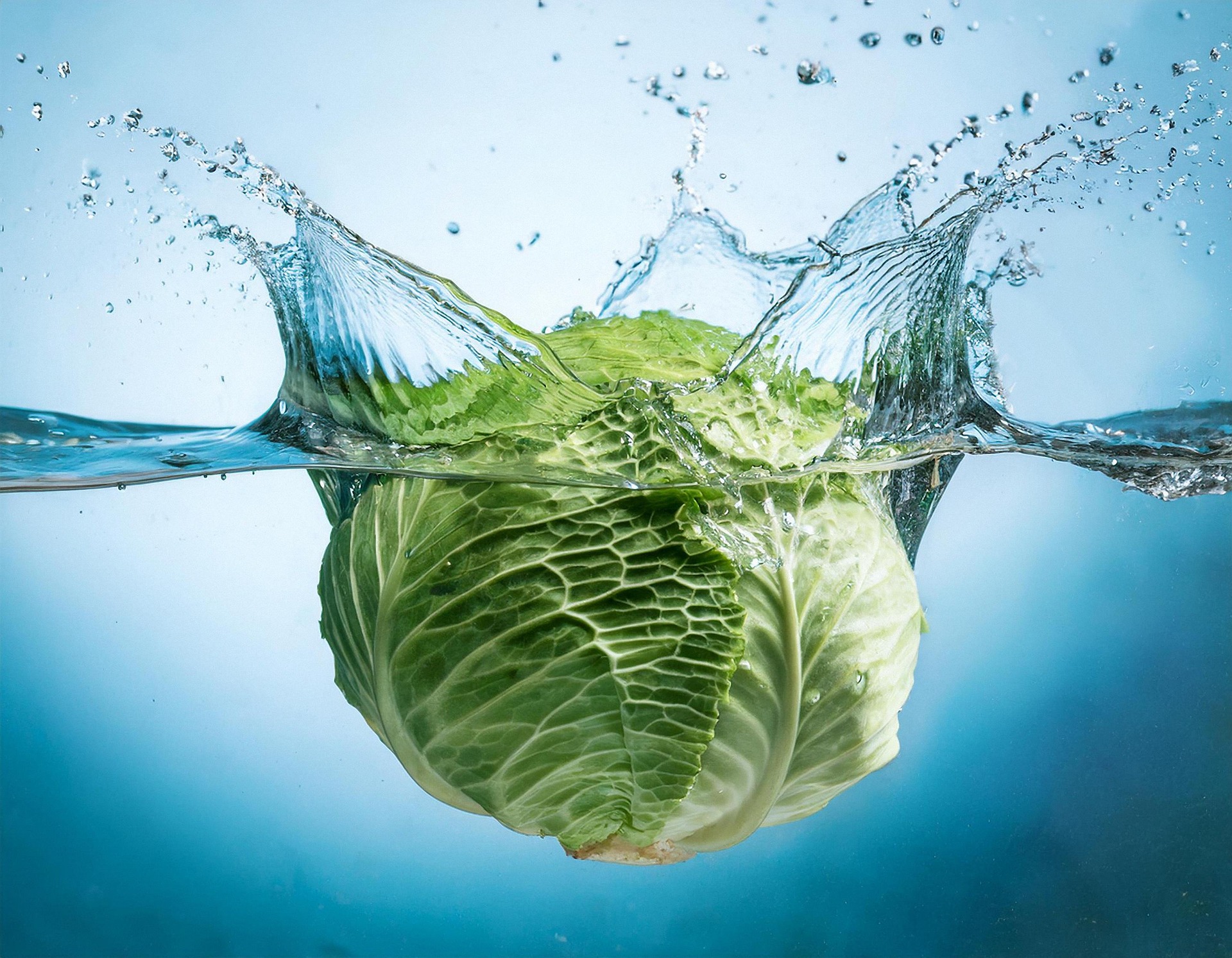 양배추의 위 건강