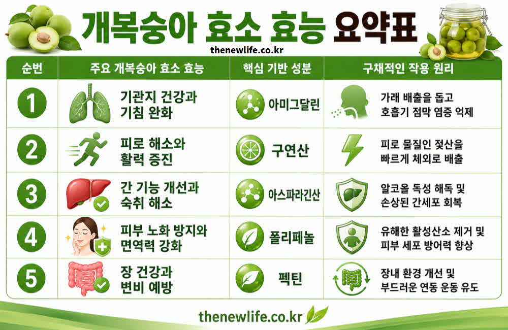 개복숭아 효소 효능 요약표