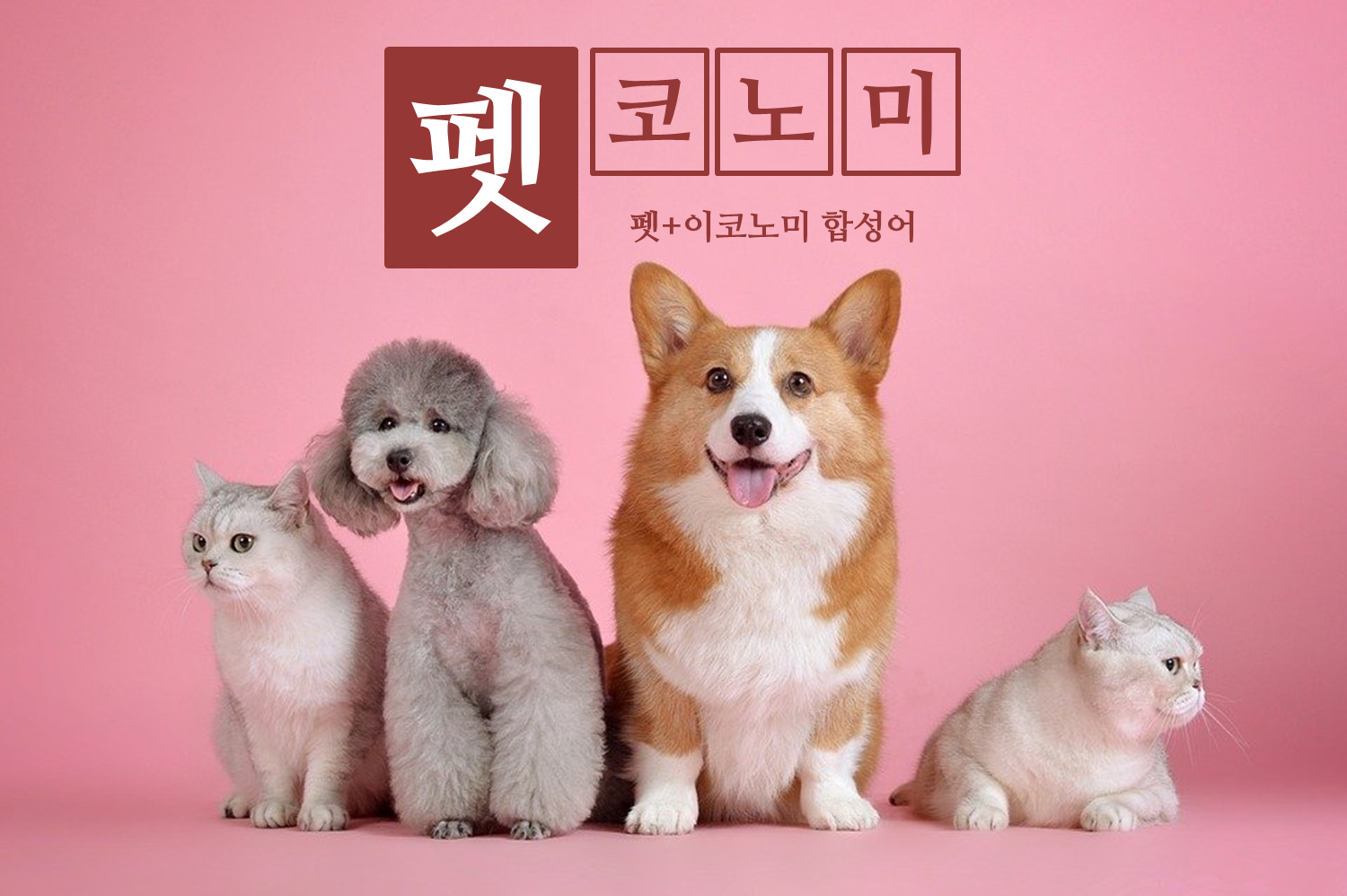 펫코노미