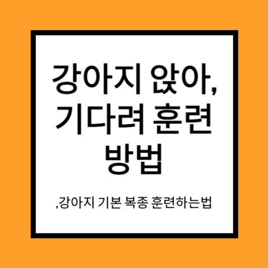 강아지 앉아 훈련