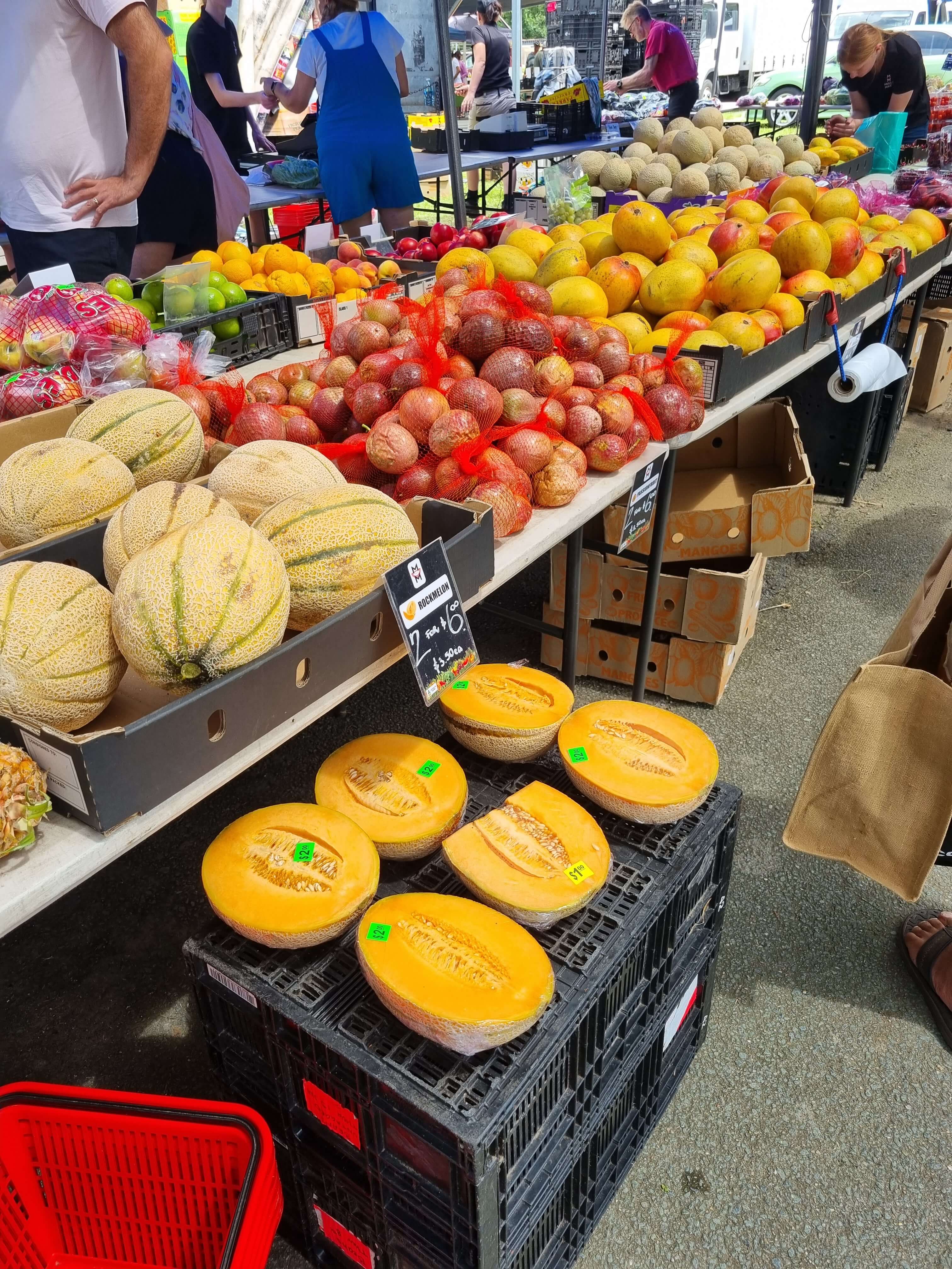 호주 브리즈번 파머스마켓 투어