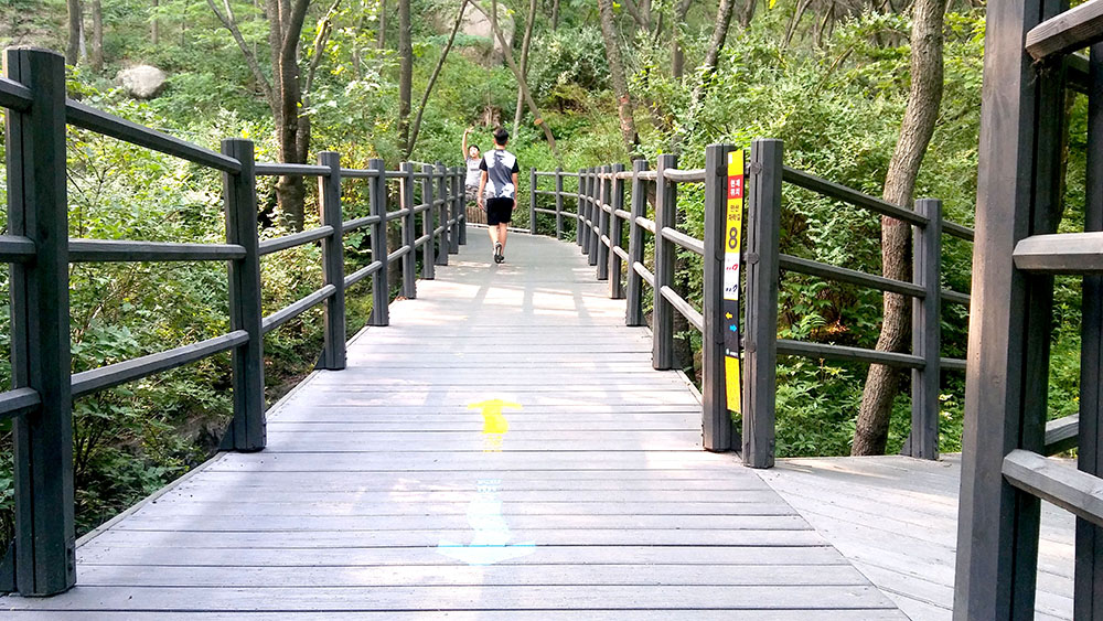 서대문구 안산자락길(AnsanJarakgil)을 걷다