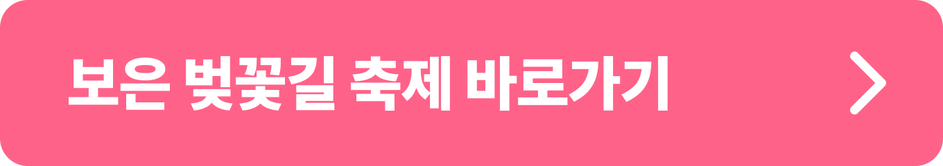 보은 벚꽃길 축제