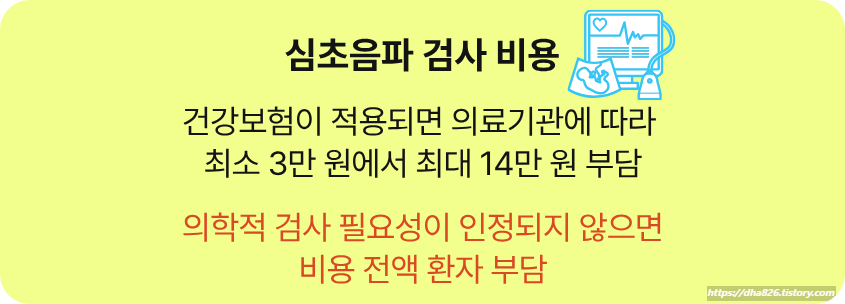 심초음파 건강보험 대상, 비급여 비용