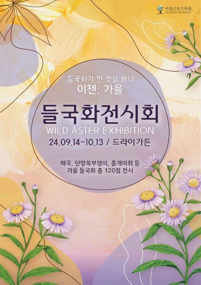 아침고요수목원 들국화전시회