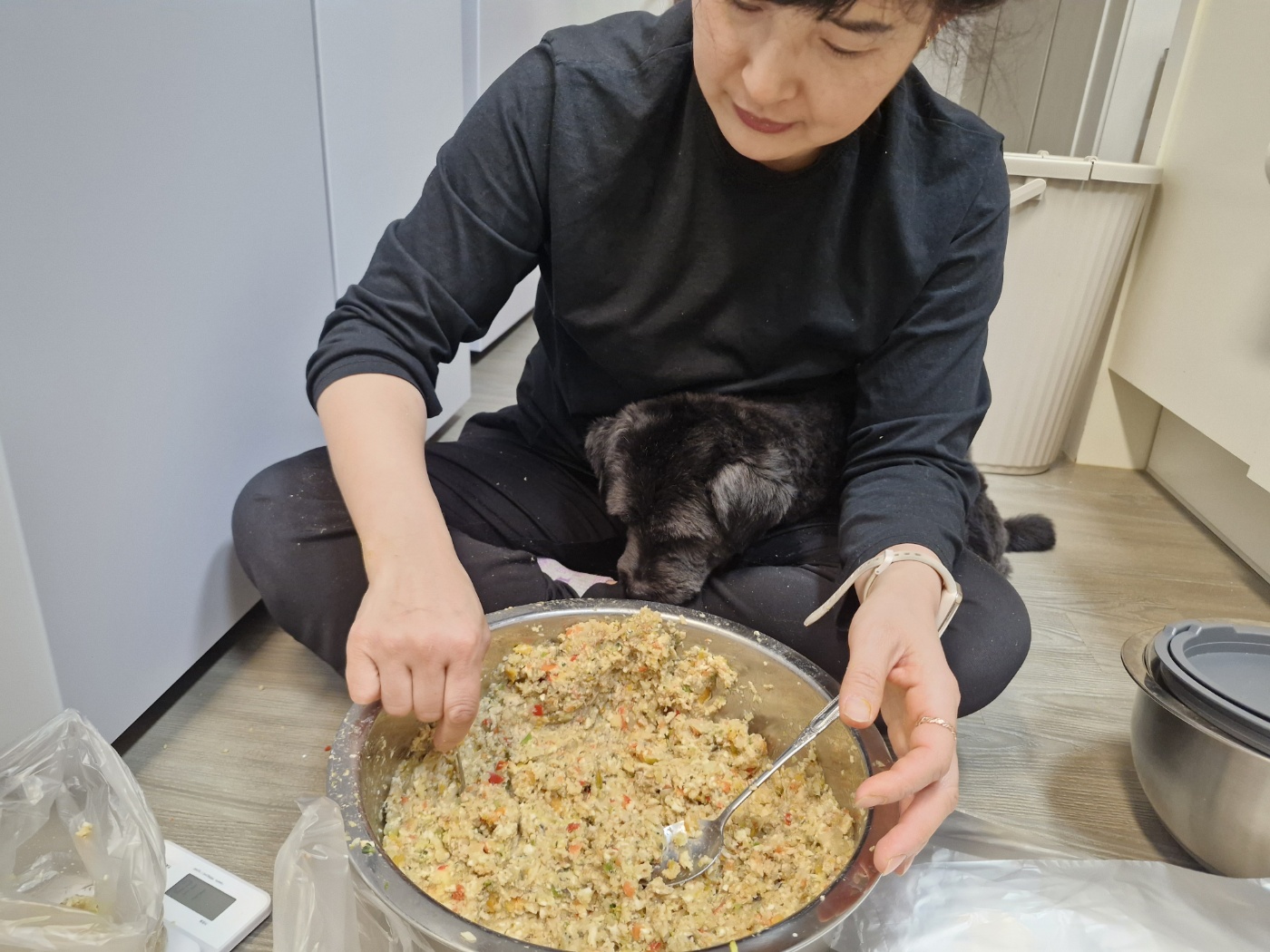 강아지 심장사상충약, 화식과 함께 급여할 수 있을까?