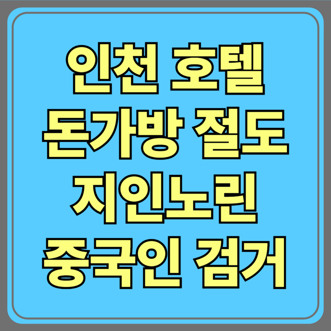 인천 호텔 2억8천만원 돈가방 절도 사건|지인 노린 중국인 남성, 인천공항서 검거