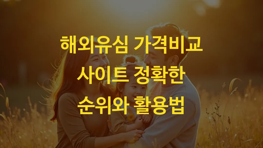 해외유심 가격비교 사이트 정확한 순위와 활용법