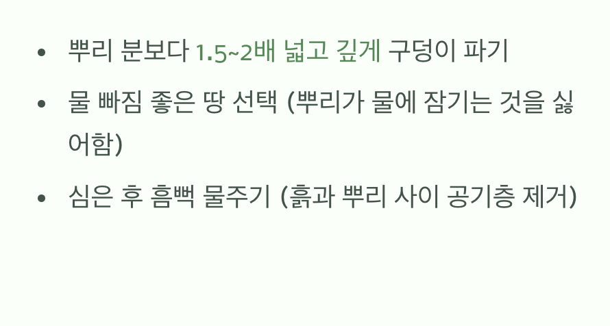 첫 보금자리, 넓고 편안하게 마련해주기