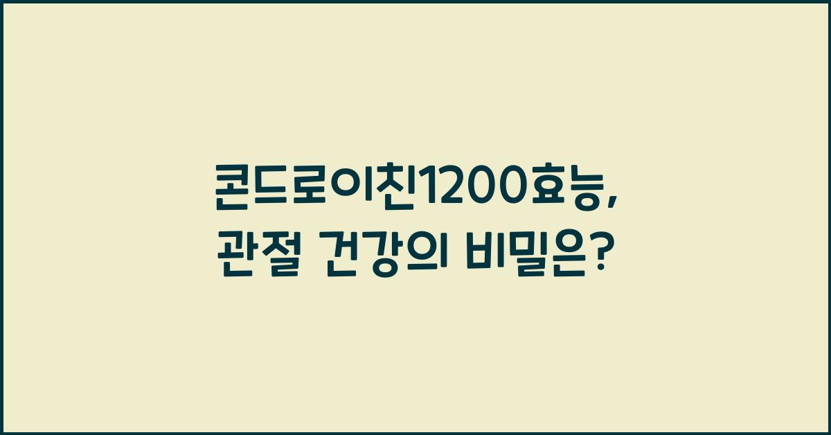 콘드로이친1200효능