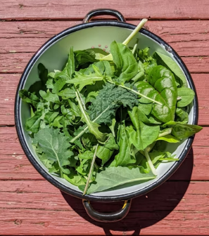 매콤한 소갈비찜과 달큰한 봄동의 만남, 동인동 찜갈비 제대로 즐기기