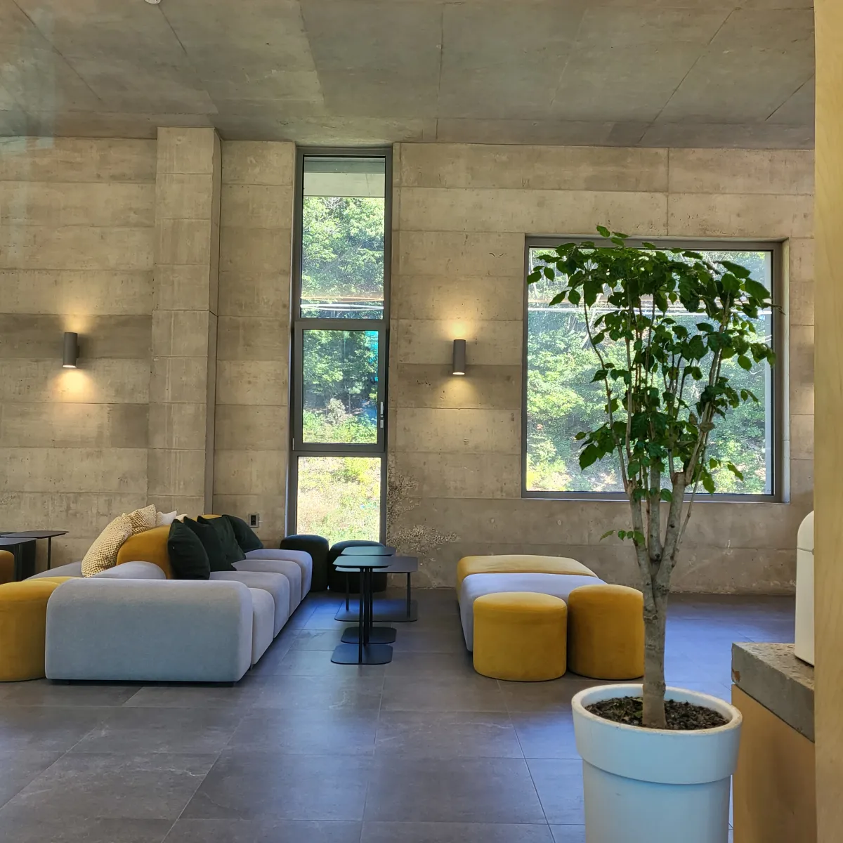 카페-포옥-내부의-테이블과-의자