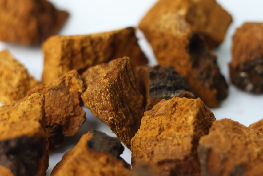 차가버섯 효능 : 피부