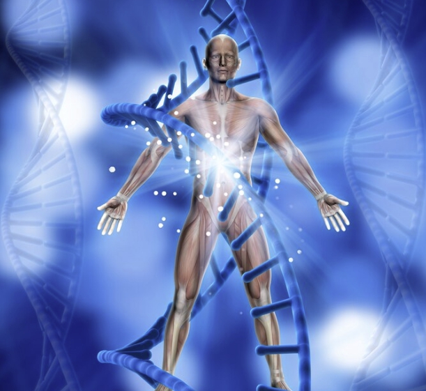 중장년층 신진대사 영양소 관리