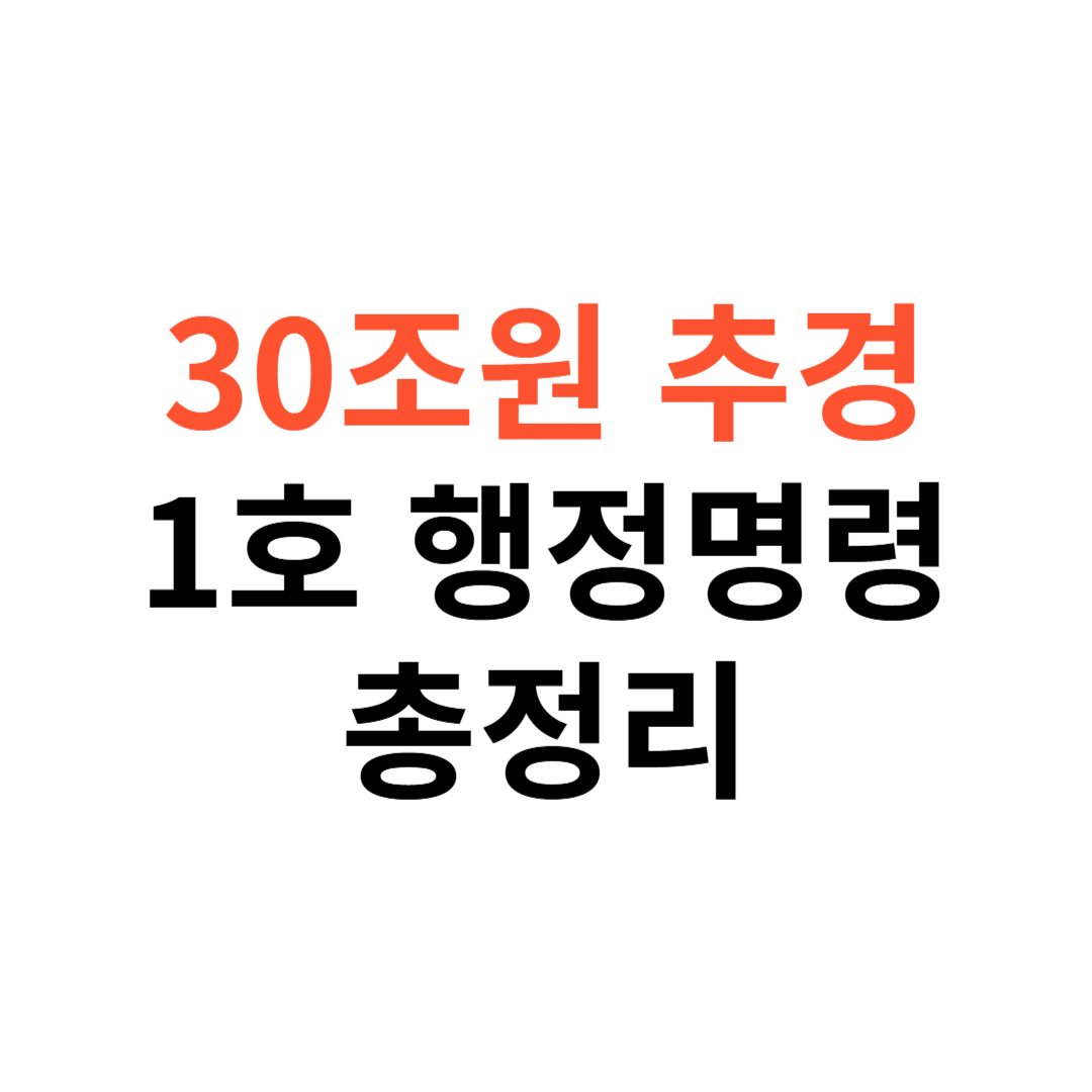 30조원 추경