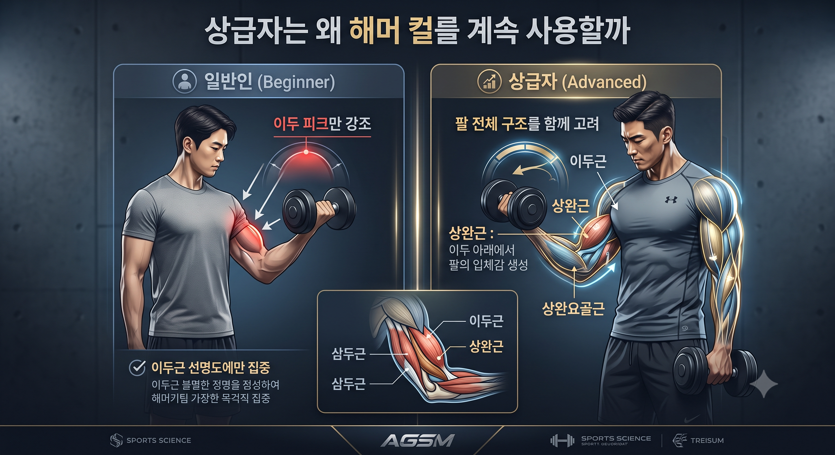 상급자는 왜 해머 컬를 계속 사용할까