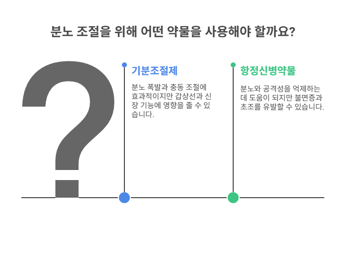 분노 조절을 돕는 약물