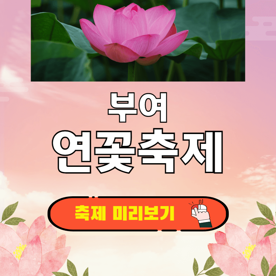 부여 연꽃축제