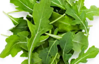 루꼴라 샌드위치