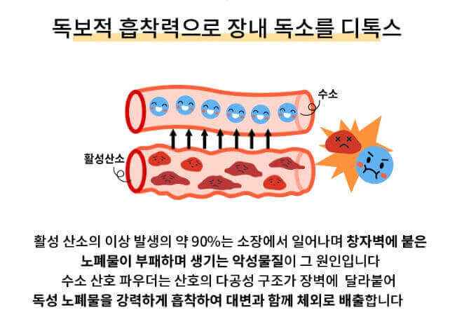 슬림어게인 독소배출