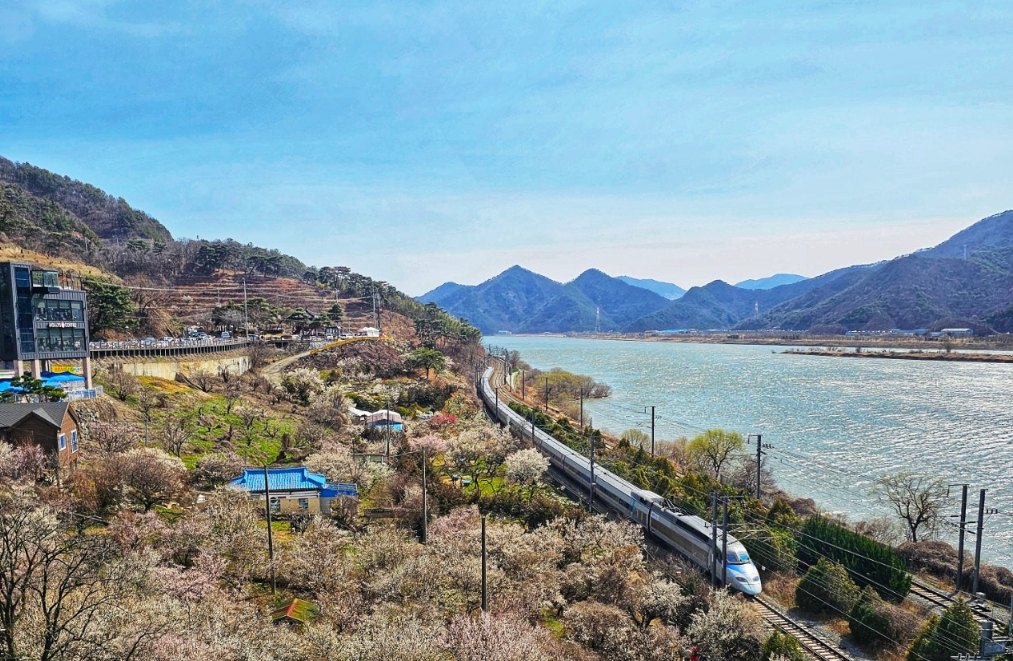 양산 순매원 &amp; 원동역