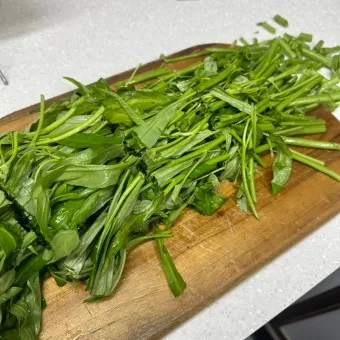 모닝글로리 쇼핑몰 다이어리 달력 수척 필통 추천_25