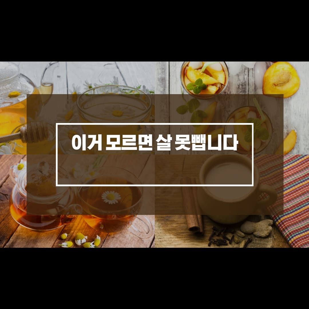 다이어트
