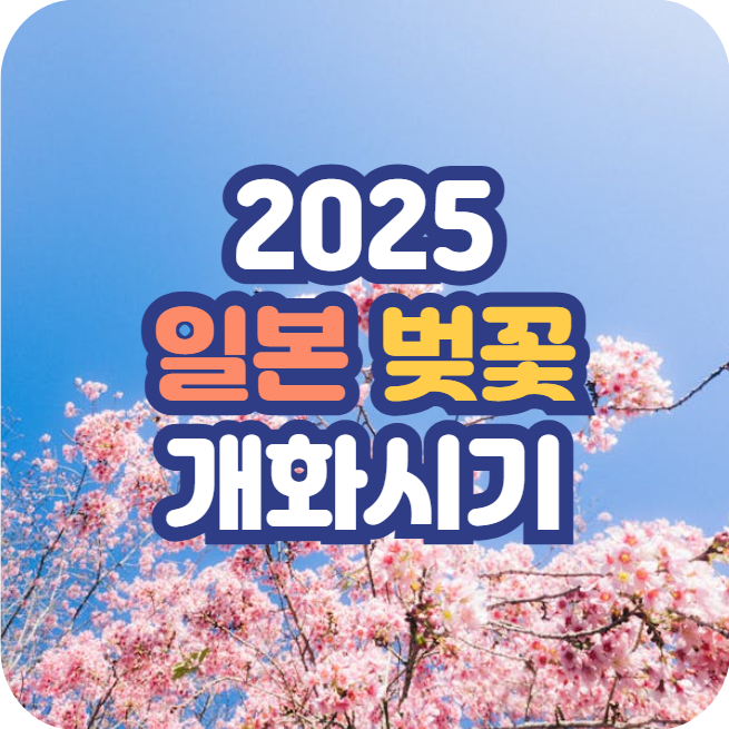 2025 일본 벚꽃 개화시기 & 벚꽃 명소 추천