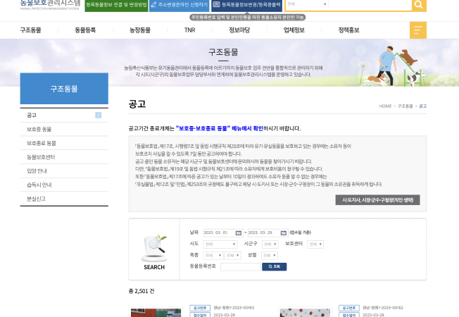 유기견입양사이트