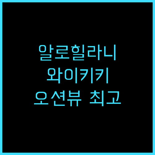 알로힐라니 리조트 와이키키 비치 추천..