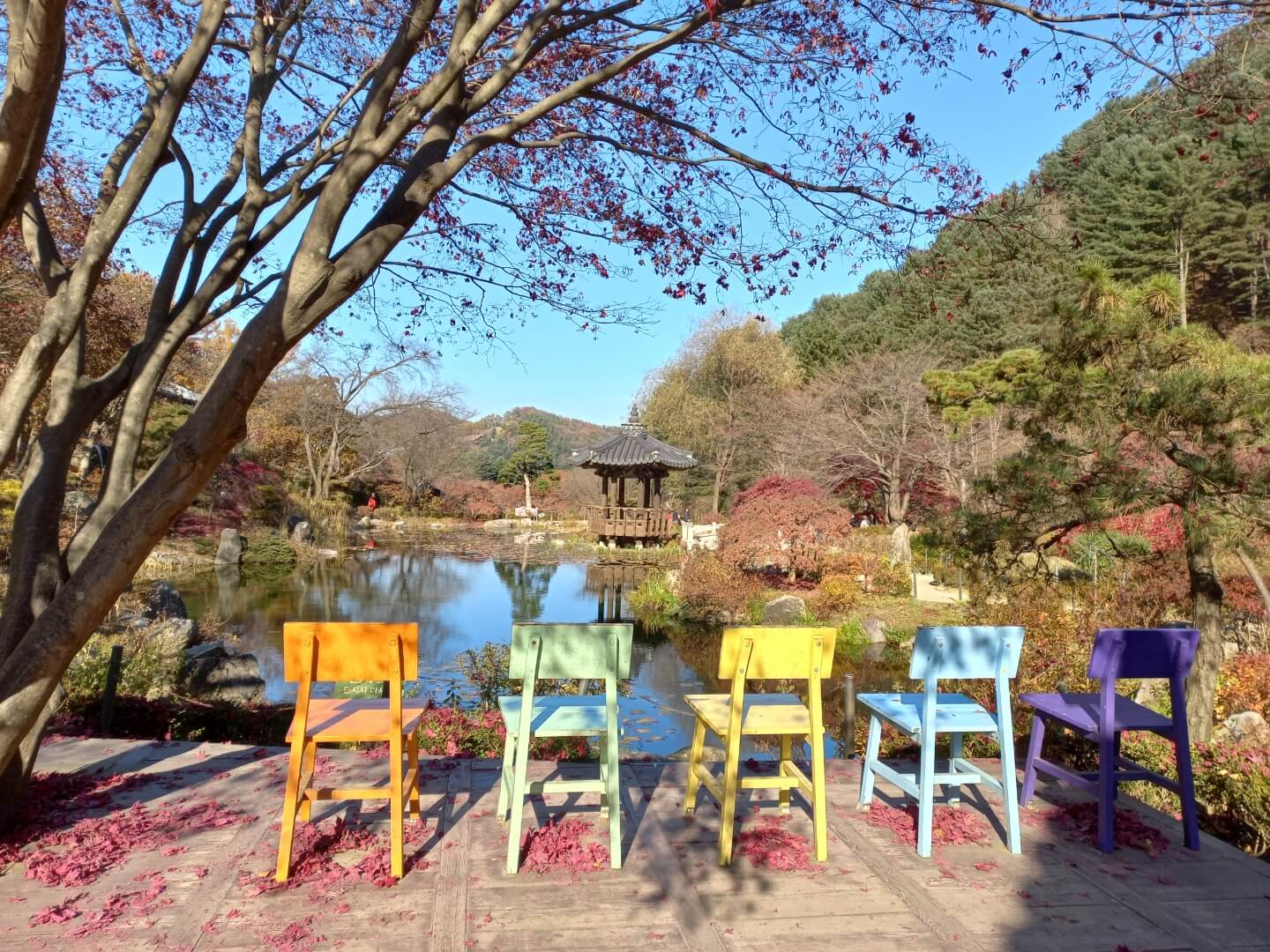 가평 수목원 불빛축제