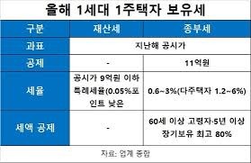 1가구 2주택 보유세 계산