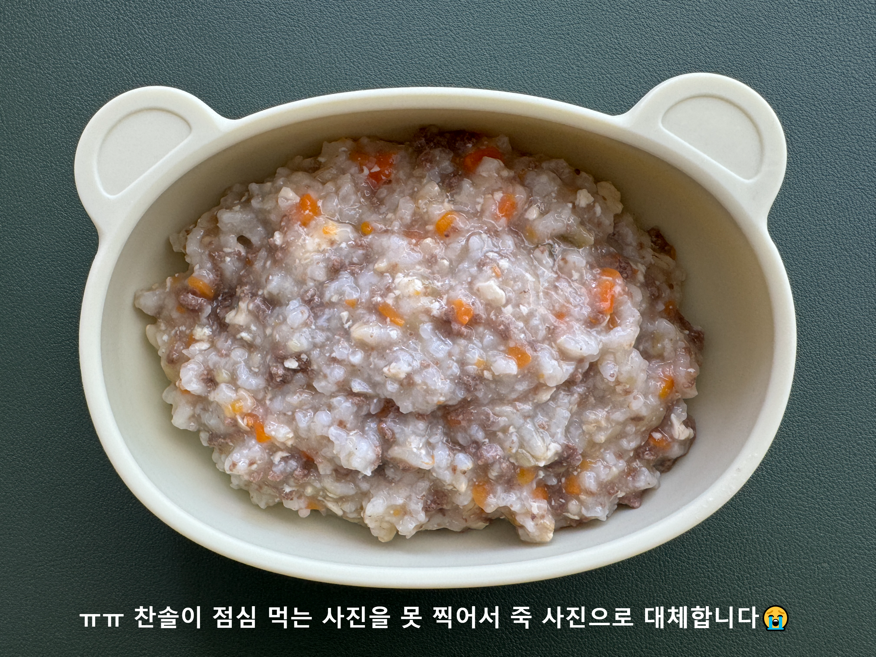 그릇에 담긴 소고기·당근·가지·두부죽이 가득 담겨 있는 평면 샷