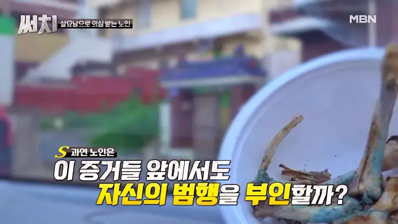 써치 8년간 천여마리 죽인 대전 신탄진 고양이 살해남의 정체