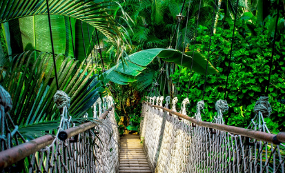 정글 속에서의 생존 캠핑 – 아마존에서 캠핑하며 생존하는 경험