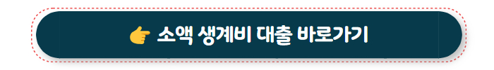 정부지원대출 소액 생계비 대출
