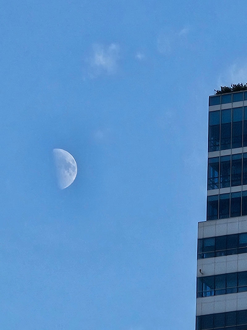 광교호수공원 가족캠핑장 전경11