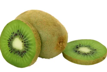 키위 가격 및 효능&amp;#44; 영양성분과 주의점