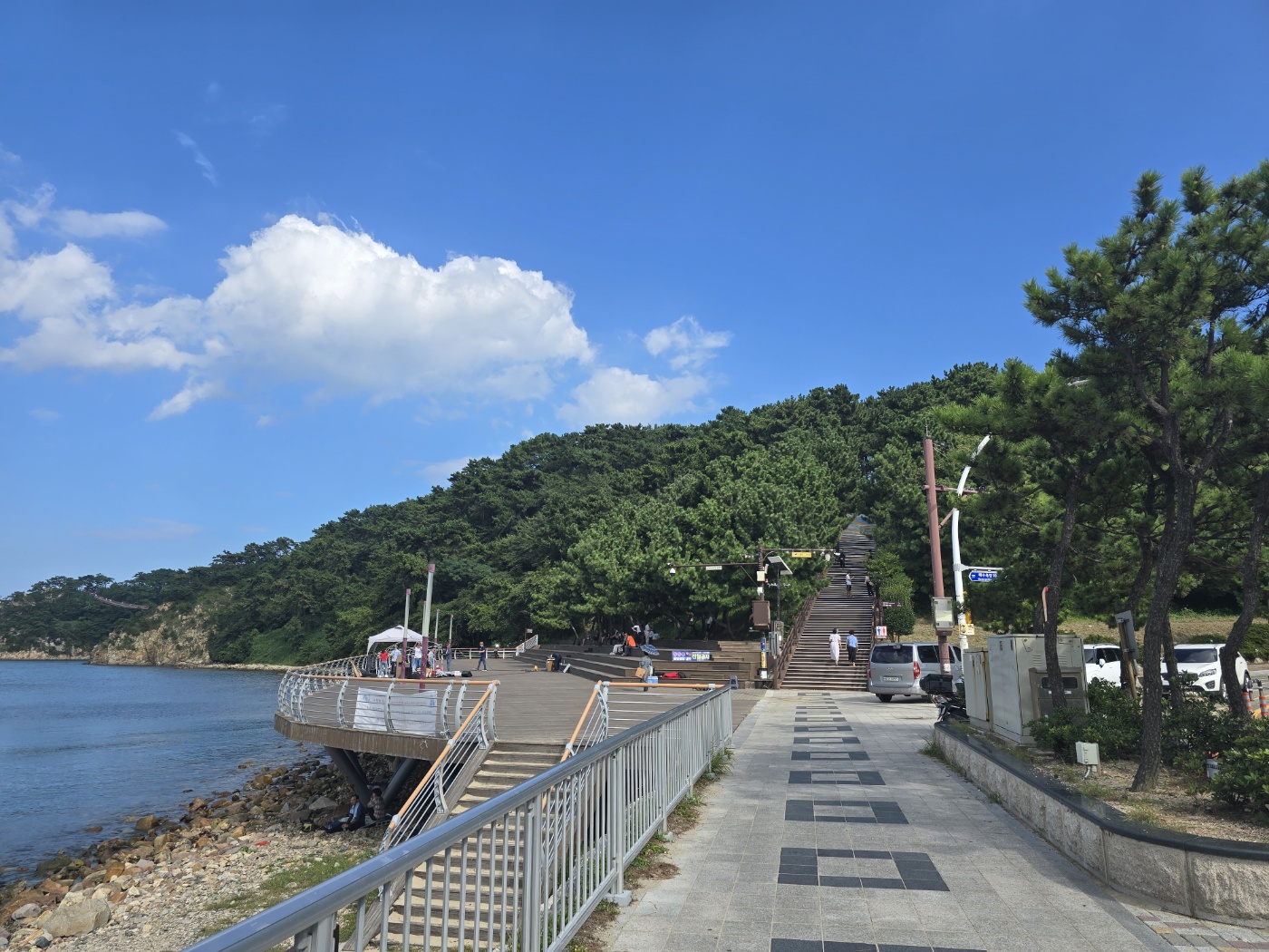 보리꽃 주변풍경6