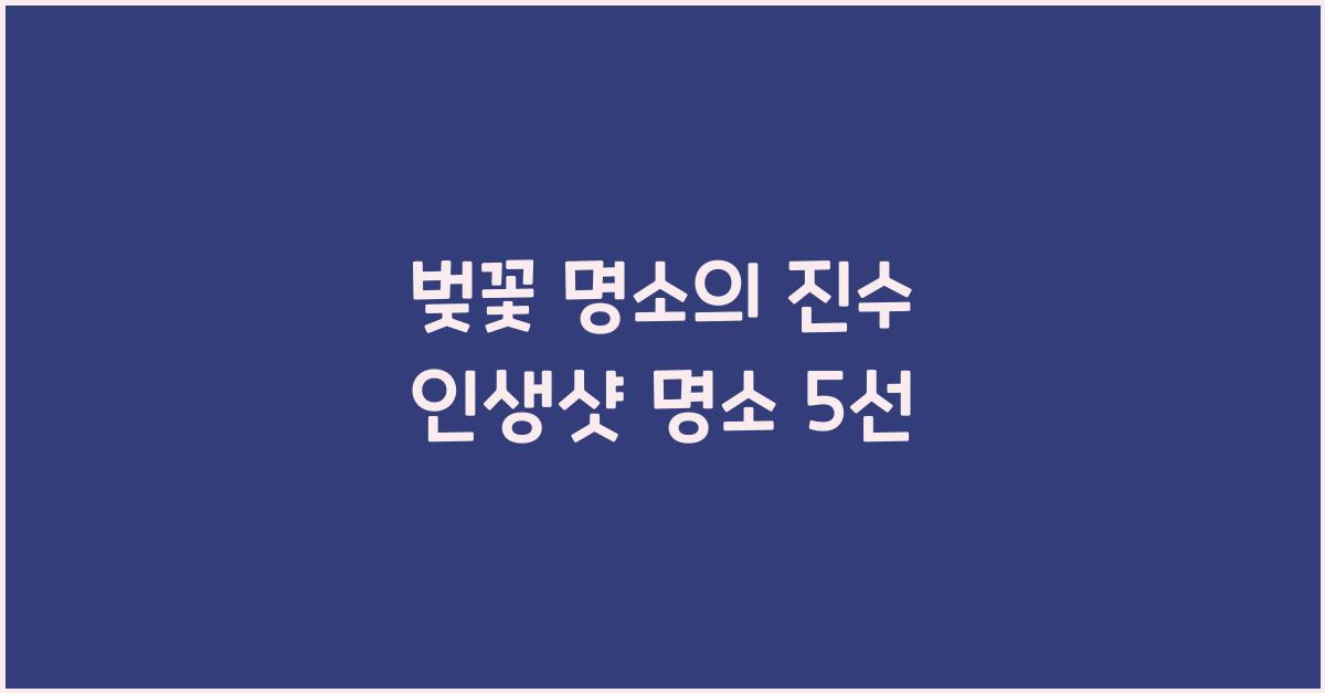 벚꽃 명소