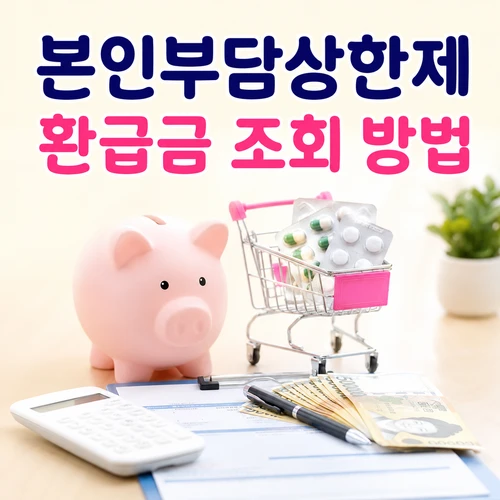 본인부담상한제 환급금 조회 방법