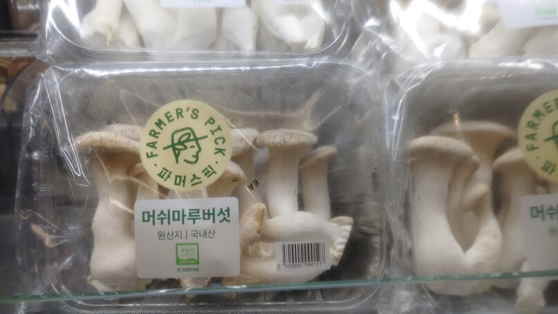 머쉬마루 버섯 매장