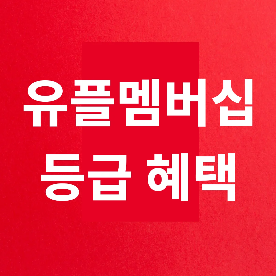유플멤버십 사용법, 등급혜택 완전정리