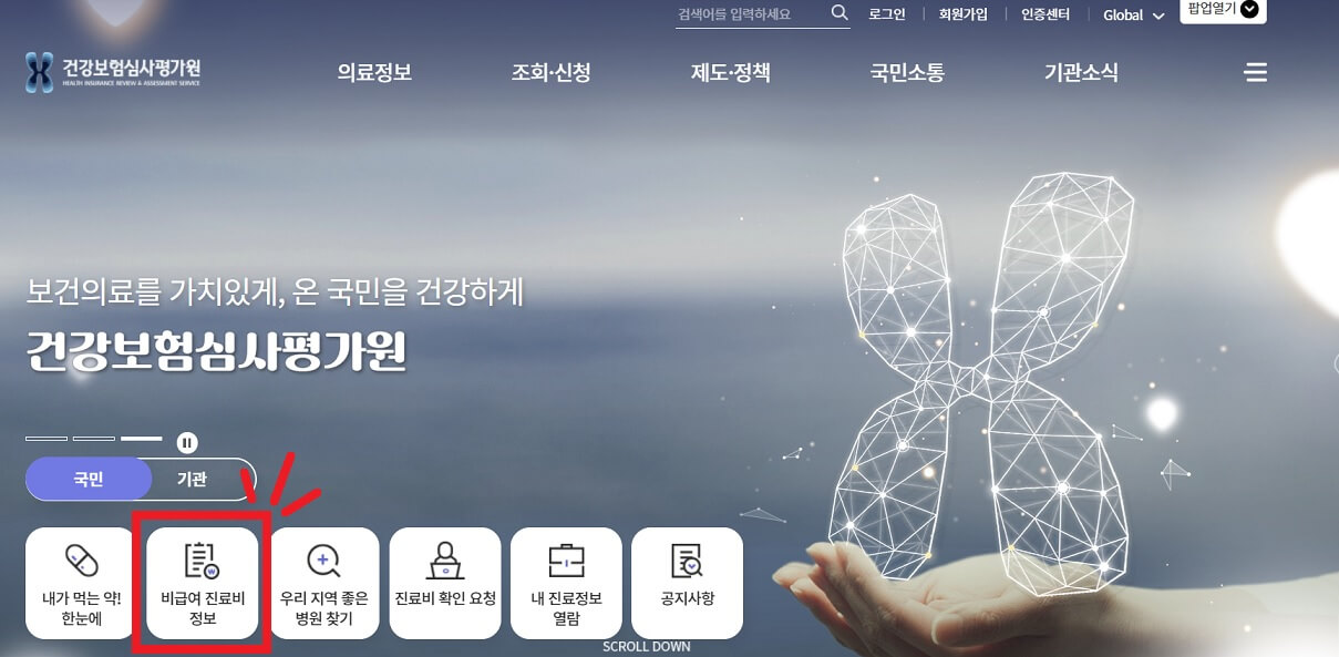 대상포진 예방접종 비용확인 초기증상 치료