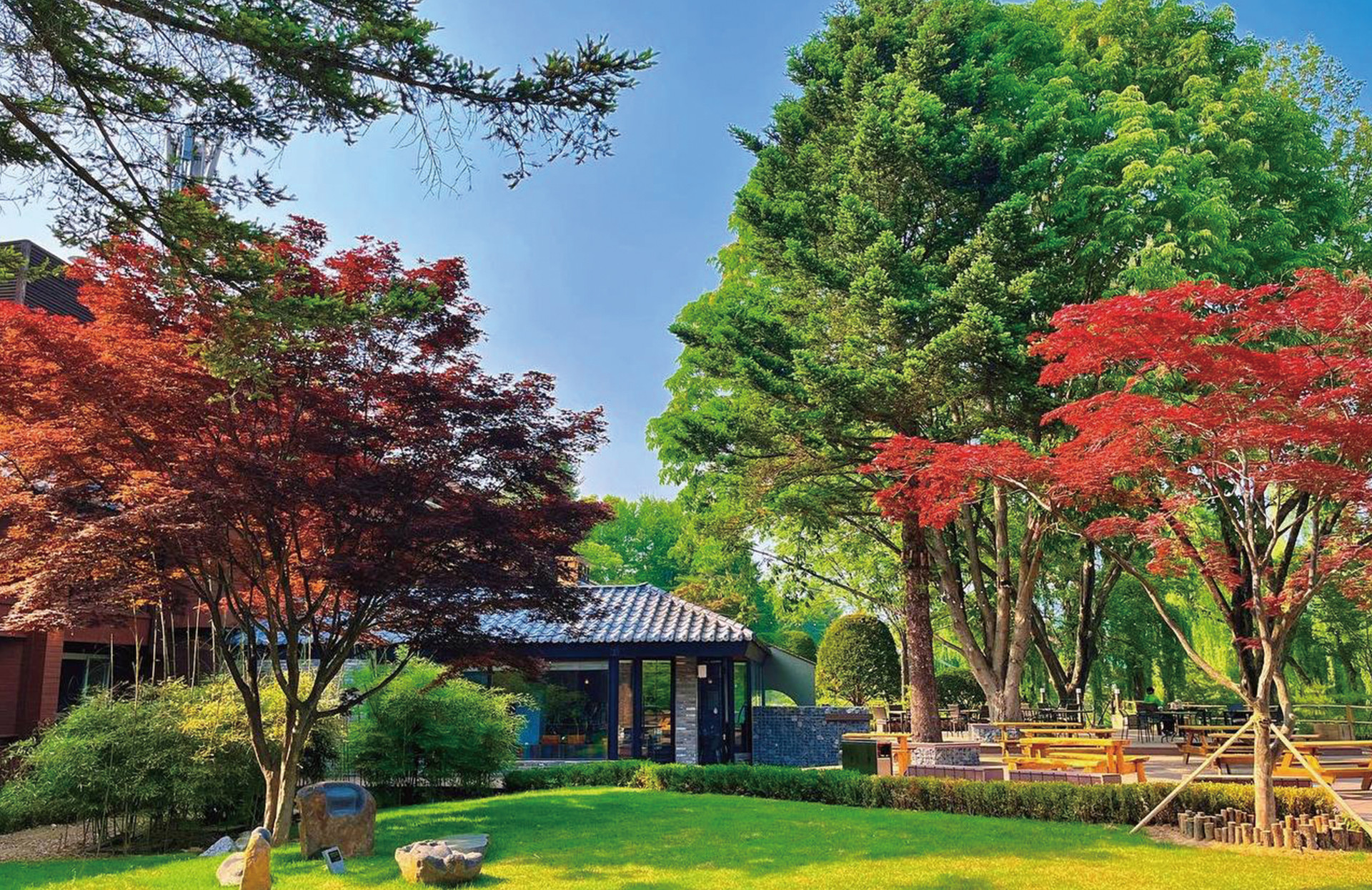 남이섬 숙박(숙소) 호텔정관루