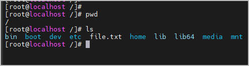 root directory