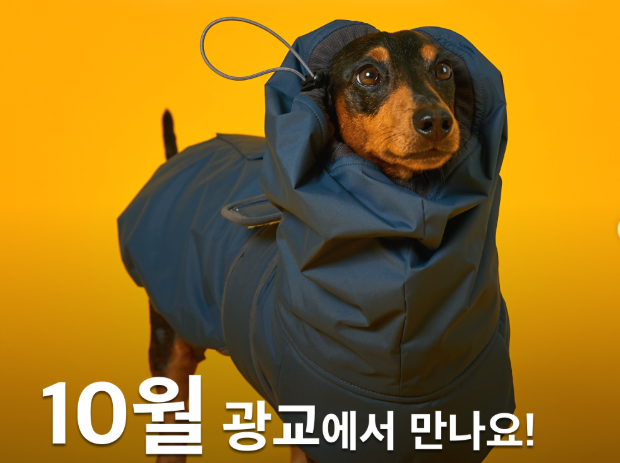 마이펫페어 2026 광교, 현장 가면 1만원? 사전등록은 무료! 일정·주차·반려견 동반 총정리 관련사진