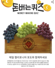 캐시워크 돈버는퀴즈 정답 썸네일