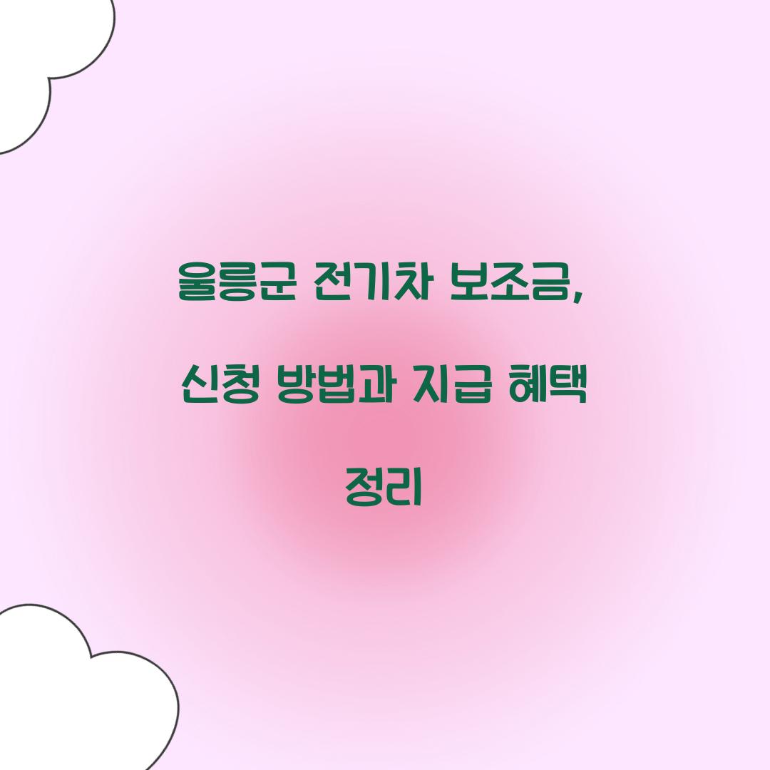 울릉군 전기차 보조금